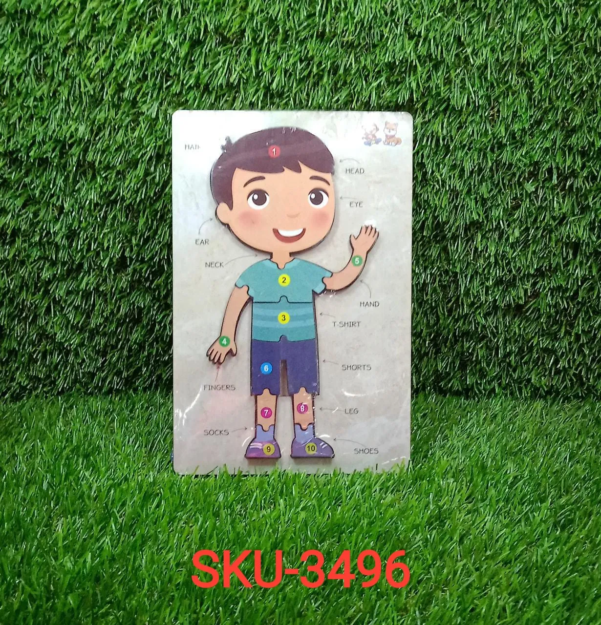 3496 Wooden Boy Body Parts Puzzle with Pictures Body Part Puzzle for Kid Early Education Letters Puzzles for Preschool.