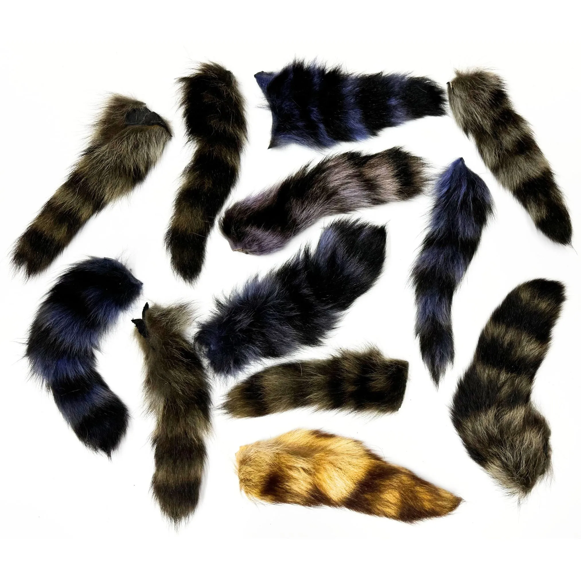 Authentic Raccoon Tail with Keychain - Genuine Fur Tails for Crafts and Costumes