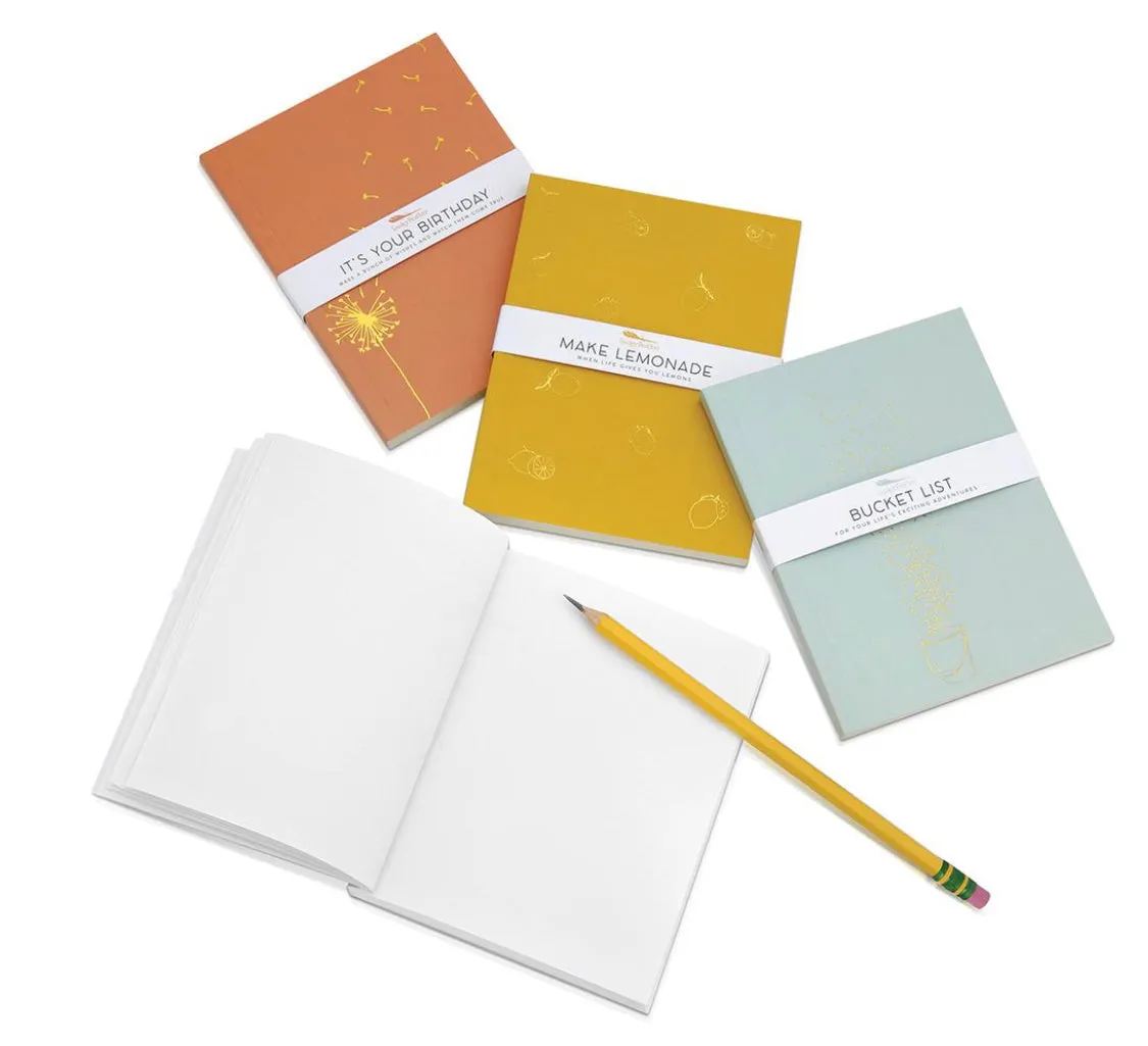 Gifting Journal - Million Dollar Ideas