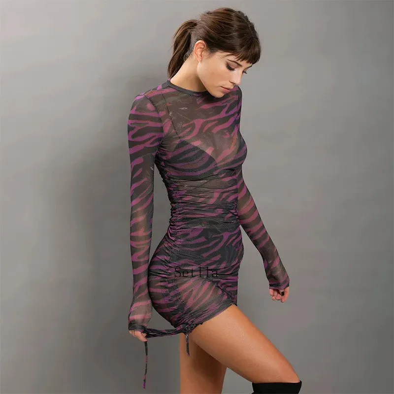 Mesh Sheer Drawstring Ruched Clubwear Mini Dress