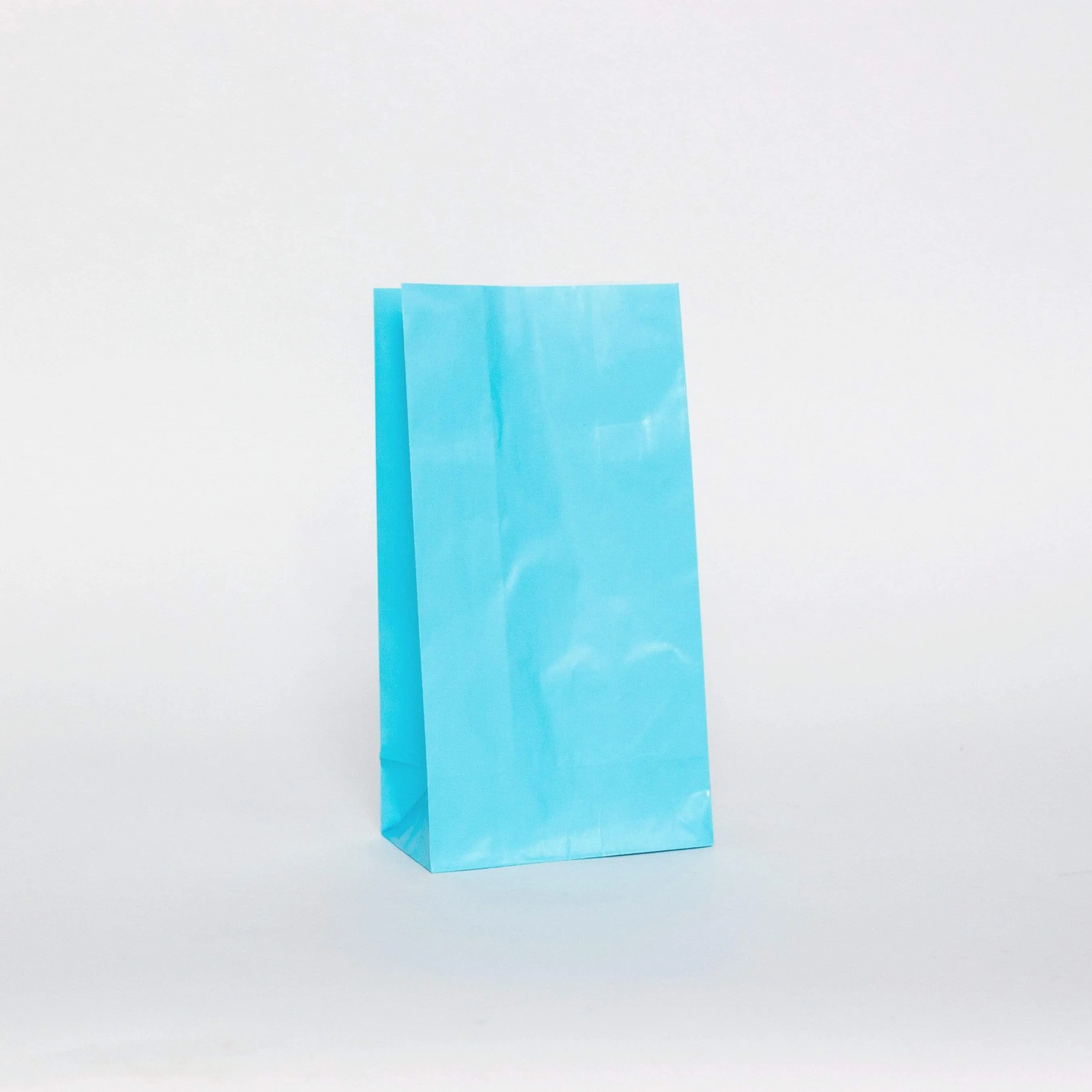 Plain Party Bags Light Blue (12 Pack)