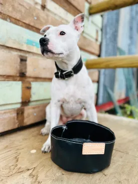 PVC Dog water bowl