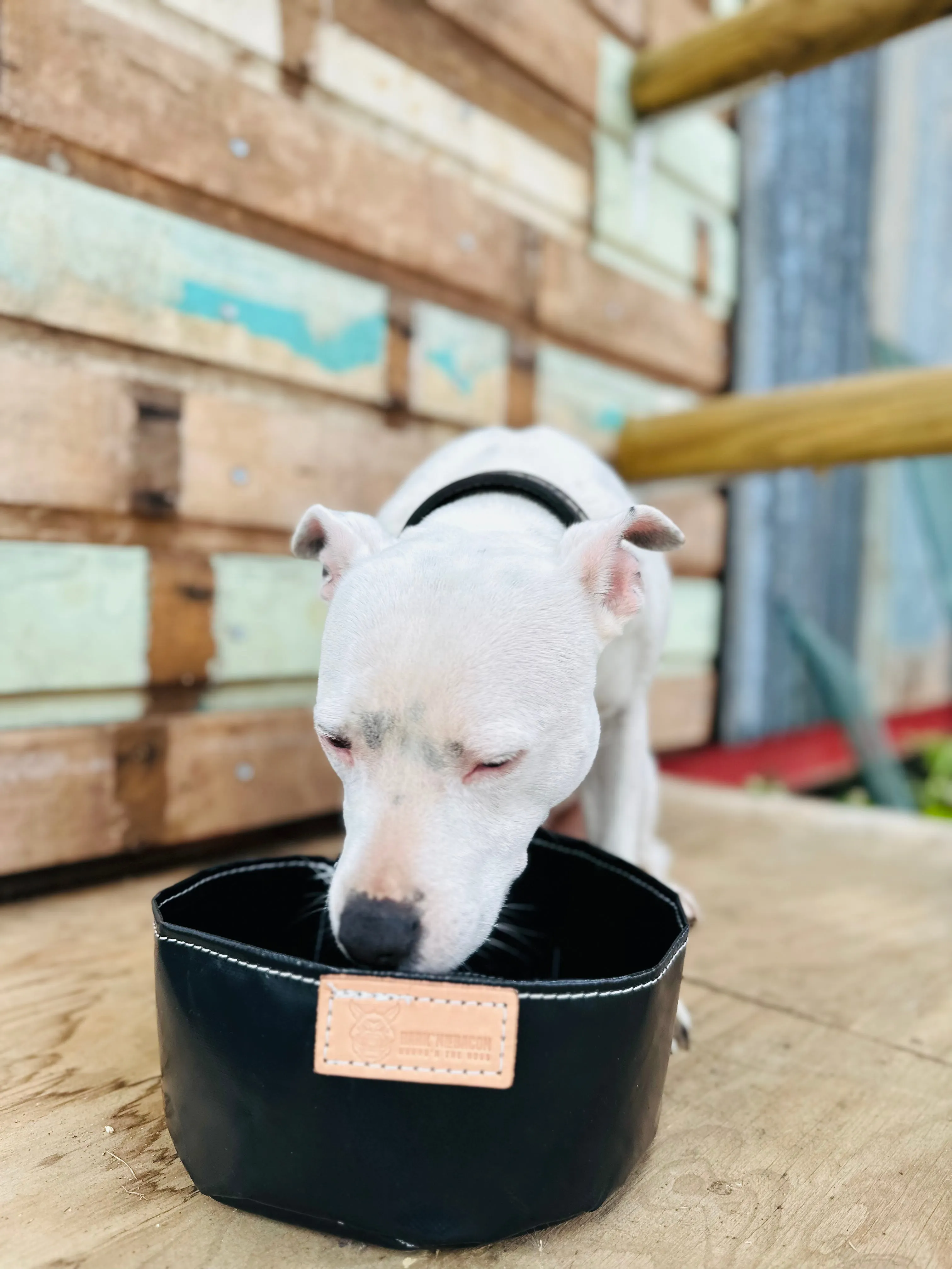 PVC Dog water bowl